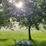 Lenzau *