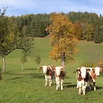Holiday home Lenzau *