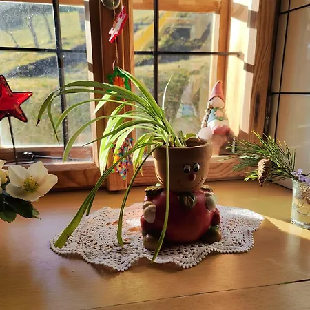 Lenzau Сasa de vacaciones Strohmarkt