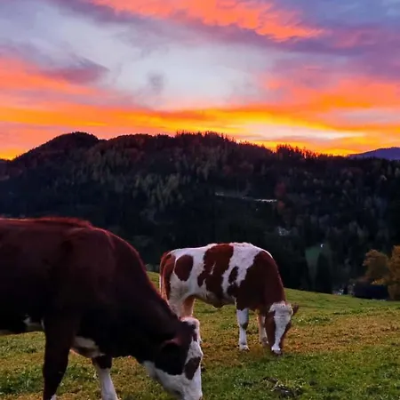 Feriehus Lenzau Strohmarkt