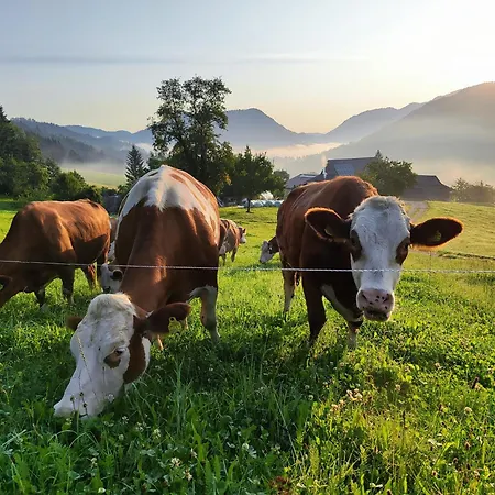 Сasa de vacaciones Lenzau