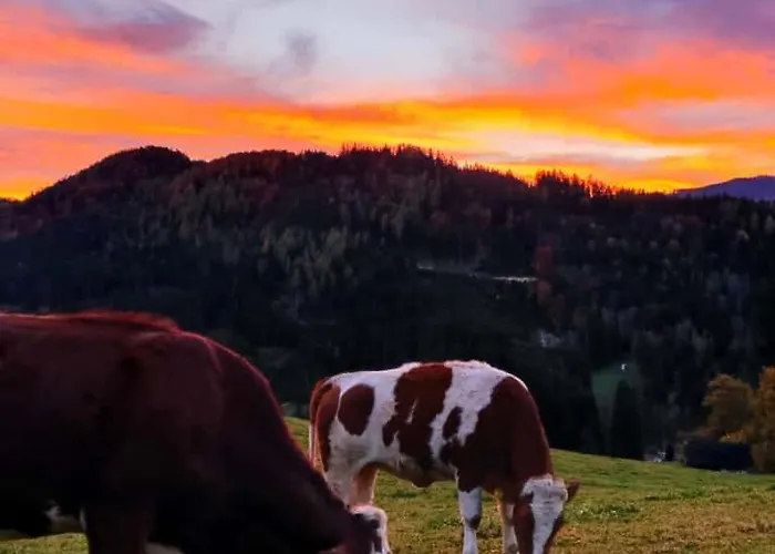Holiday home Lenzau Strohmarkt