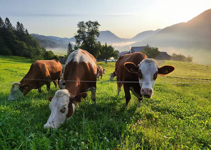 Сasa de vacaciones Lenzau