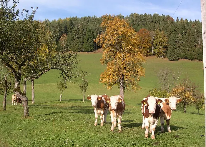 Holiday home Lenzau *